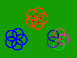 Multiple flowers in different colors