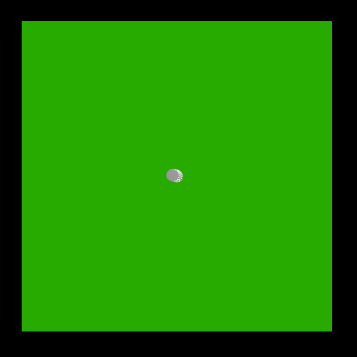 Single turtle in SpaceLand