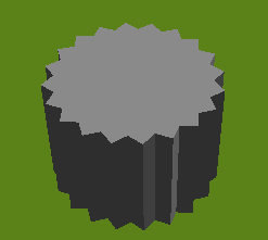 Turtle zoomed in