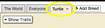 Turtle tab with rename option